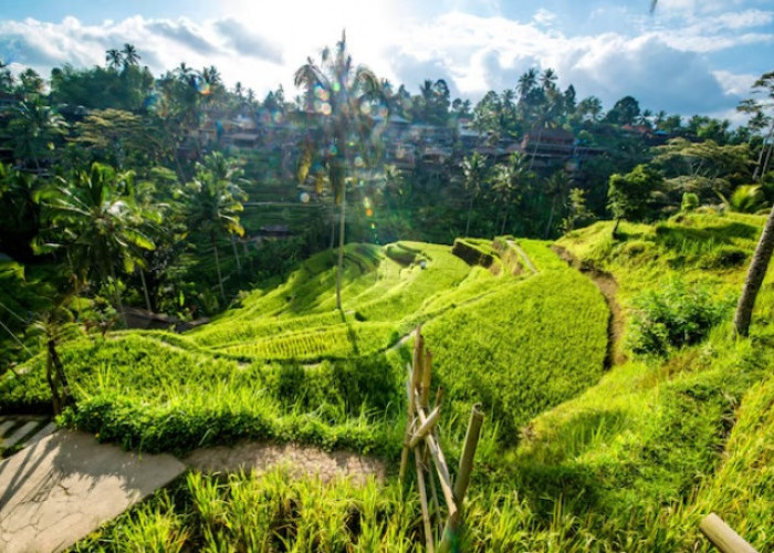 5 Hidden Gems di Ubud yang Wajib Diketahui First Timer