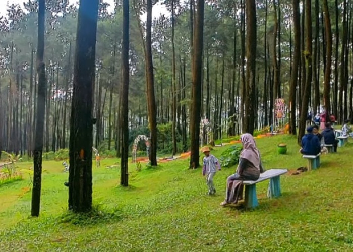 7 Wisata Keluarga Seru di Tegal dengan Banyak Spot Instagramable