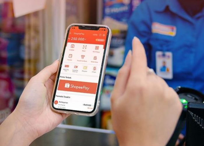 Kenapa Shopee PayLater Coba Lagi Nanti, Ini Penyebab dan Cara Mengatasinya