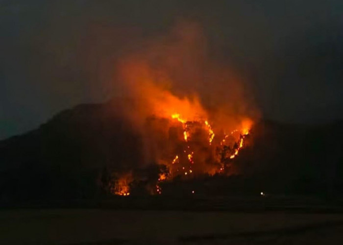 Lahan Perbukitan di Bumiayu Brebes Terbakar, Warga Sempat Panik