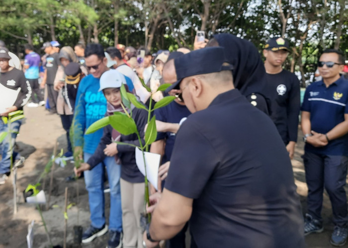 Anggota Komisi III DPRD Kota Tegal Ikuti Penanaman Pohon di Pantai Pulo Kodok