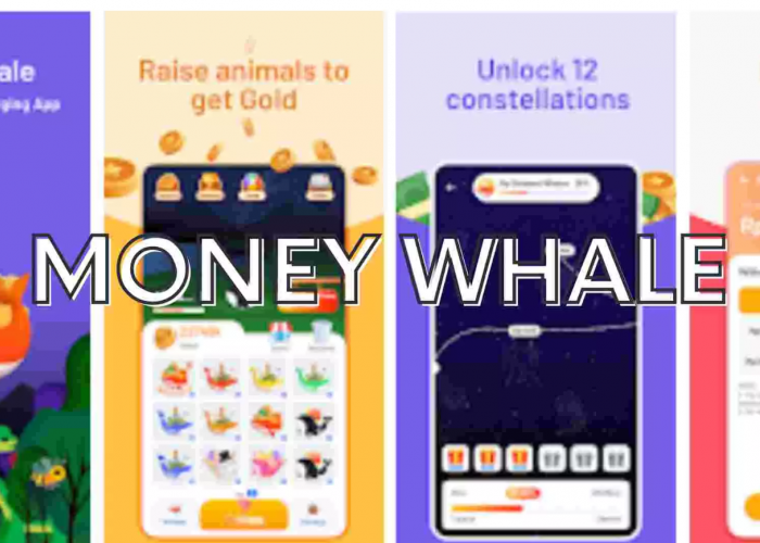 Aplikasi Penghasil Uang Money Whale, Tonton Iklan 30 Detik Dapet Point Tuker Saldo DANA, Gopay, OVO