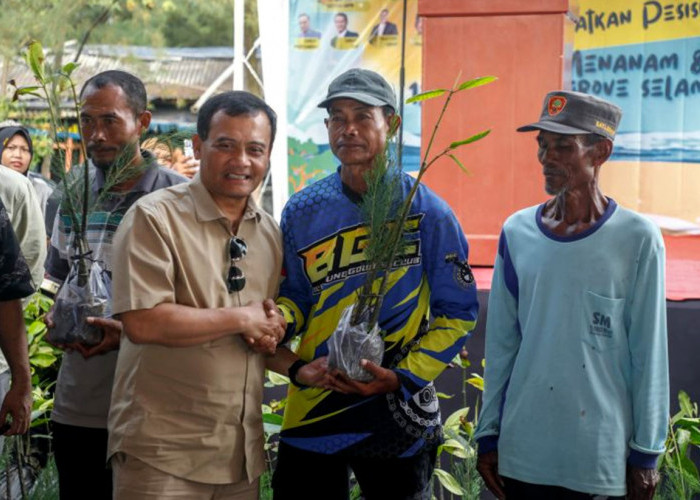 Atasi Rob Kawasan Pesisir, Gubernur Jateng Minta Bupati - Wali Kota Lakukan Ini