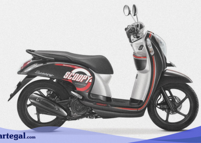 Anda Wajib Tahu! Begini 10 Tanda Motor Bekas Matic Honda Masih Layak Pakai sampai 2030