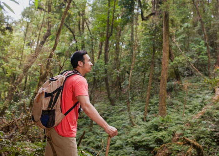 4 Spot Hiking di Tegal untuk Pemula dengan Pemandangan Mengesankan