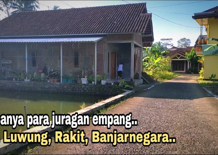 Dekat Purwokerto Ada Kampung Juragan Empang, di Setiap Rumah Warganya Punya Kolam Ikan