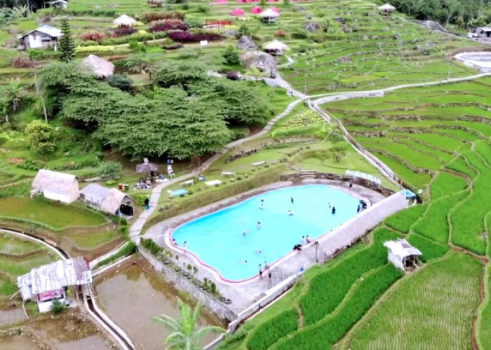 Daftar Wisata Murah dan Gratis di Purwokerto tapi Unik