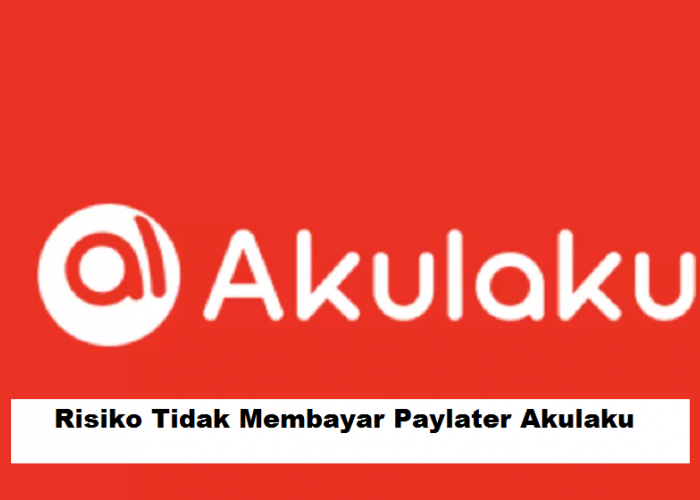 6 Risiko Tidak Membayar Paylater Akulaku, Tidak Hanya Berurusan dengan Debt Collector Loh!