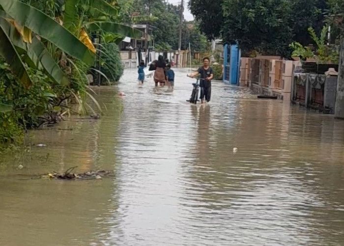 Diguyur Hujan Deras Semalaman, Desa Kalirandu Petarukan Pemalang Banjir