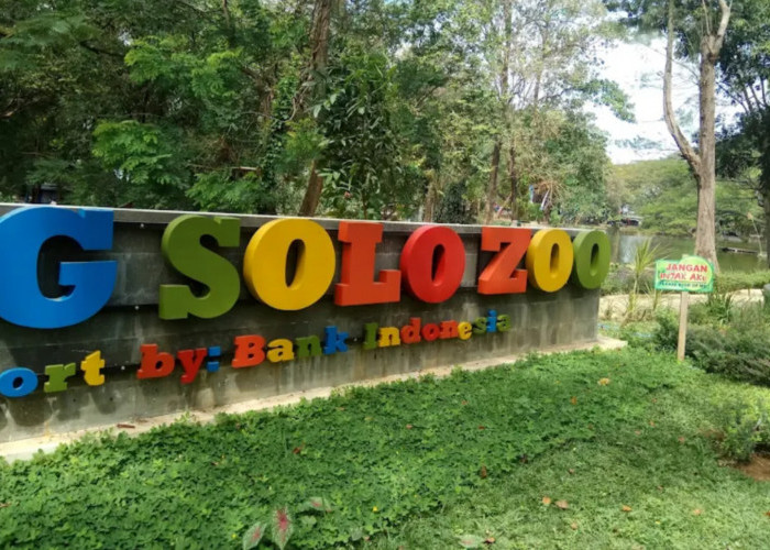 7 Destinasi Wisata Hits di Solo yang Lagi Ramai Dikunjungi Traveler Muda