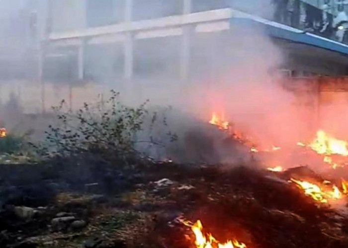 Kebakaran Lahan di Procot Tegal Nyaris Hanguskan Hotel Permata Inn Slawi