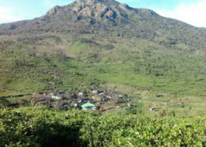 Kampung Unik Candi Promasan Kendal, Desa Tertinggi Di Kendal,  Hanya Dihuni 20 KK, dan  Butuh Waktu  3  Jam