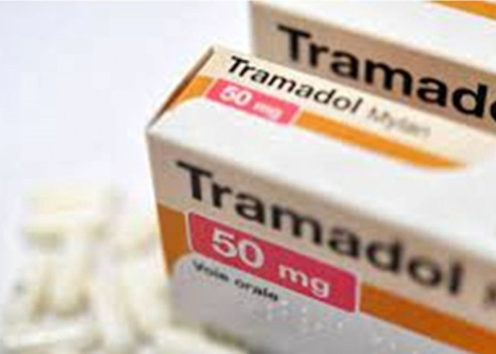 Edarkan Tramadol dan Hexymer di Pemalang, Tukang Tato Temporer Diringkus Polisi