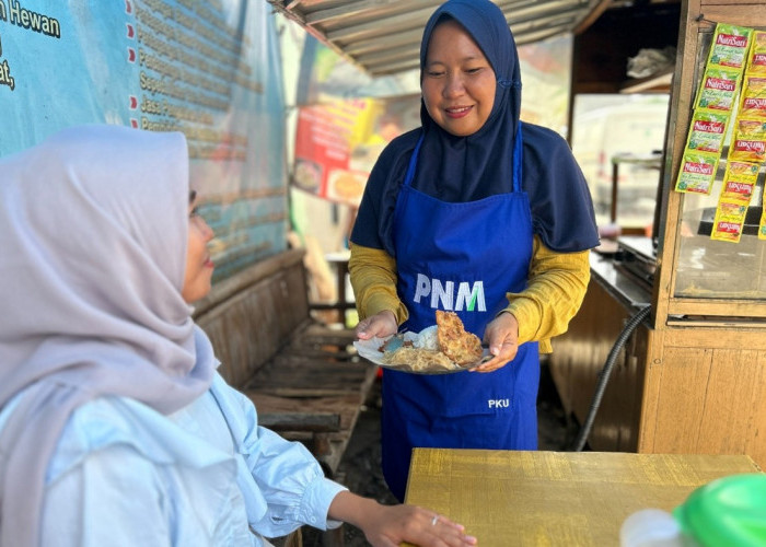 Holding Ultra Mikro Terbukti Tingkatkan Kesejahteraan, Perempuan Ini Sukses Kembangkan Usaha Rumahan 