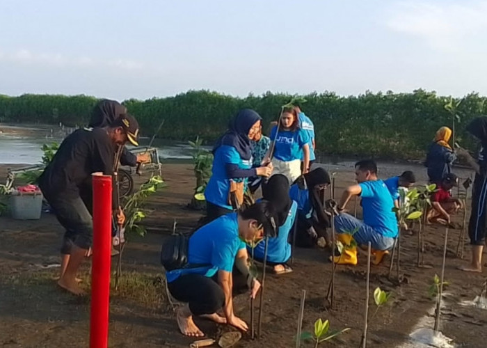 1.068 Ha Tambak dan 513 Rumah Terdampak Abrasi dan Banjir Rob di Randusanga Kulon