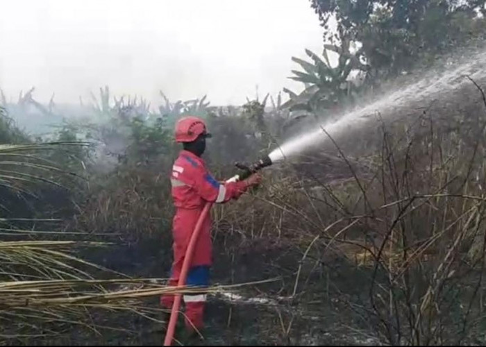 Kurang dari 12 Jam, 3 Kebakaran Lahan Terjadi di Kabupaten Tegal
