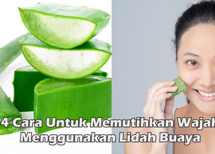 Ampuh! Inilah 4 Cara Memutihkan Wajah Menggunakan Lidah Buaya, Rahasia Wajah Glowing Secara Alami