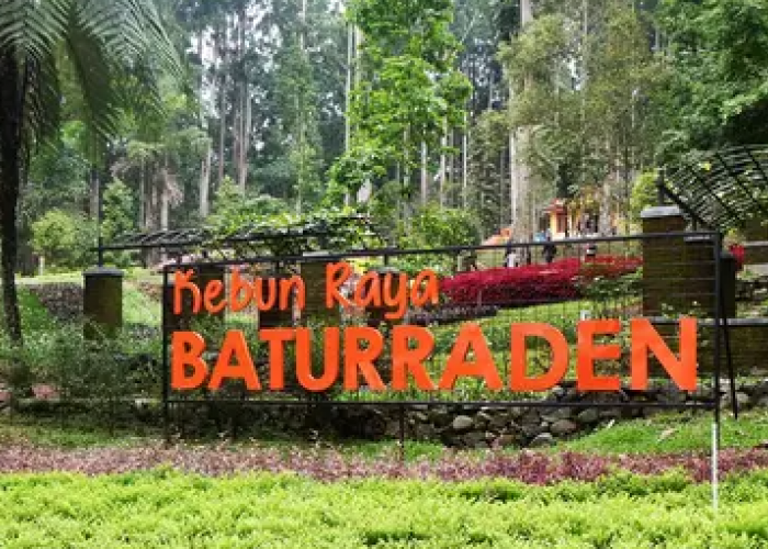 10 Wisata Purwokerto Terbaru yang Bikin Liburanmu Makin Seru