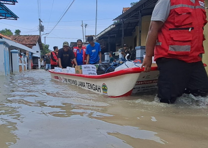 Banjir Masih Genangi Desa Sidakaton Tegal, PMI Bagikan Nasi Bungkus