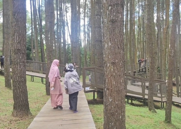 4 Wisata Alam Murah di Yogyakarta dengan Pengalaman Unik