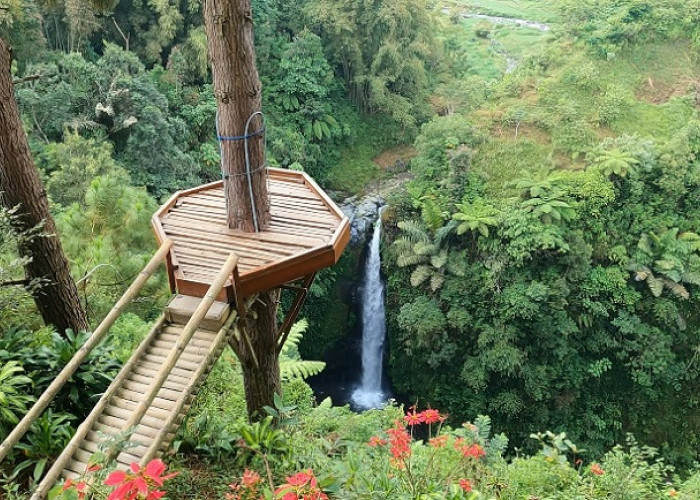 5 Wisata Alam di Magelang Jauh dari Hiruk Pikuk Kota tapi Mudah Dijangkau