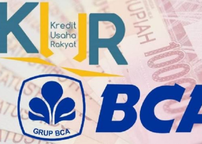Berikut Syarat Pengajuan KUR BCA 2024, Solusi Pembiayaan Modal untuk UMKM dengan Pinjaman sampai Rp500 juta