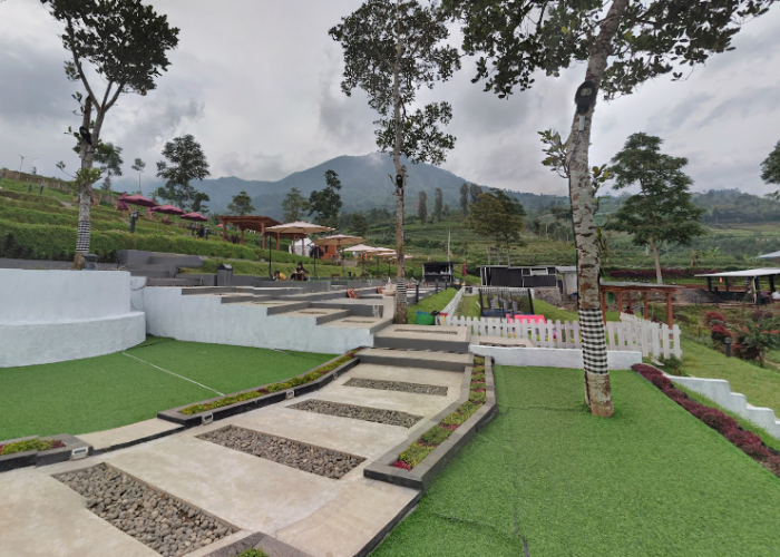 5 Spot Foto Terindah di Wonosobo untuk Liburan 2025, Dijamin Instagramable