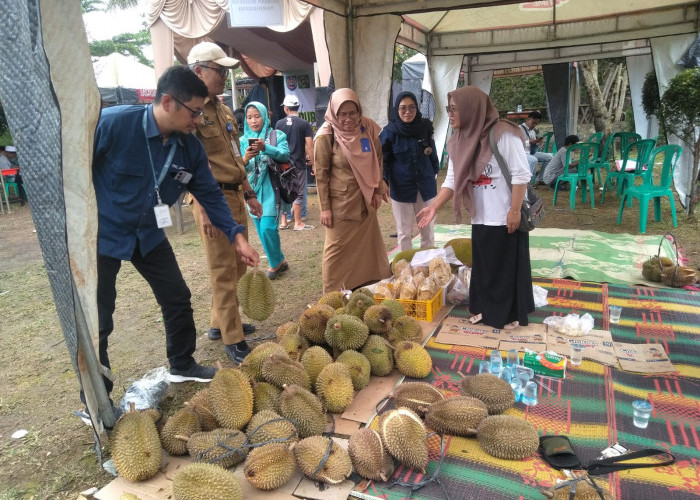 Kuntilanak dan Pocong, Varian Baru Durian Jatinegara Tegal yang Rasanya Horor