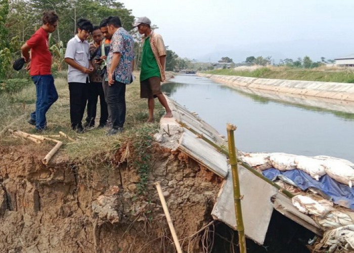Debit Air Daerah Irigasi Sragi Pekalongan Turun Jadi 700 Liter Per Detik, Petugas Kesulitan Bagi Air