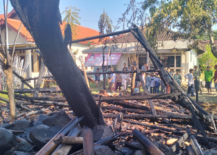 25 Ekor Kambing di Brebes Gosong Usai Kandangnya Terbakar Hebat