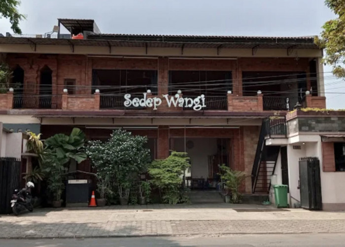 Nikmatnya Masakan Asli Pekalongan! Ini 4 Rumah Makan dengan Rasa Autentik dan Melegenda