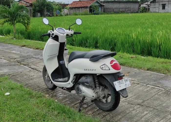4 Alasan Utama yang Bikin Honda Scoopy Jadi Incaran Anak Muda di 2025, Setuju?