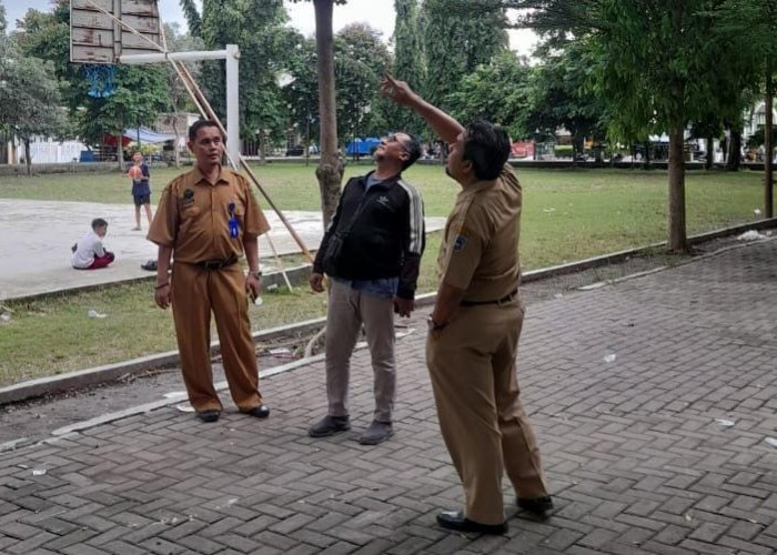 Bakal Ditempati, Rumdin Bupati dan Wabup Tegal Dirapikan DLH Jelang Pelantikan 