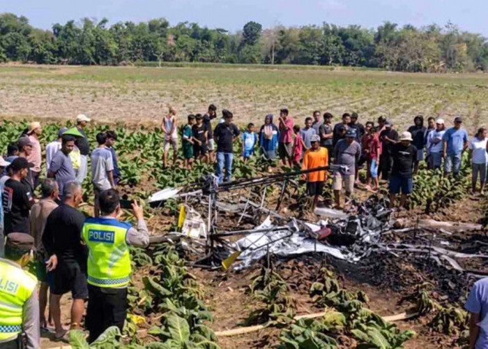 Kronologi Pesawat Capung Jatuh dan Terbakar di Persawahan Blora