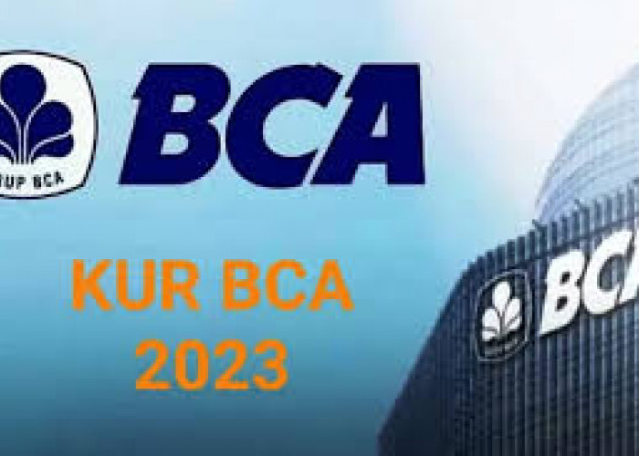 Informasi Terbaru KUR BCA 2024, Intip Jenis, Syarat, Cara Mengajukan dan Simulasi Tabel Angsurannya