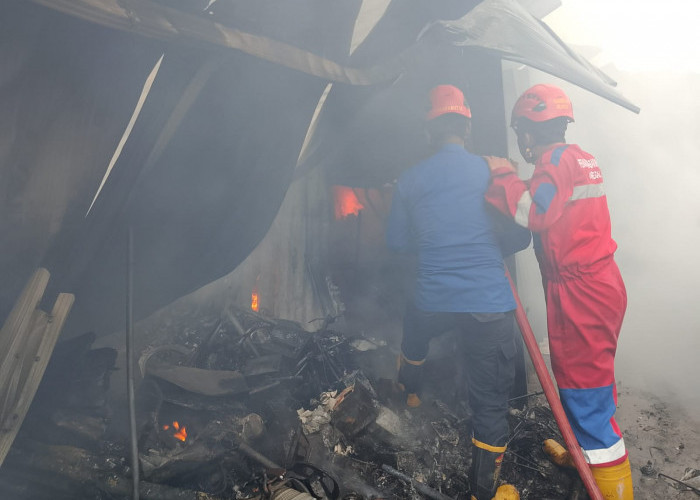Kebakaran Hebat di Terminal Adiwerna Tegal Hanguskan Belasan Kios: Kerugian Capai Ratusan Juta