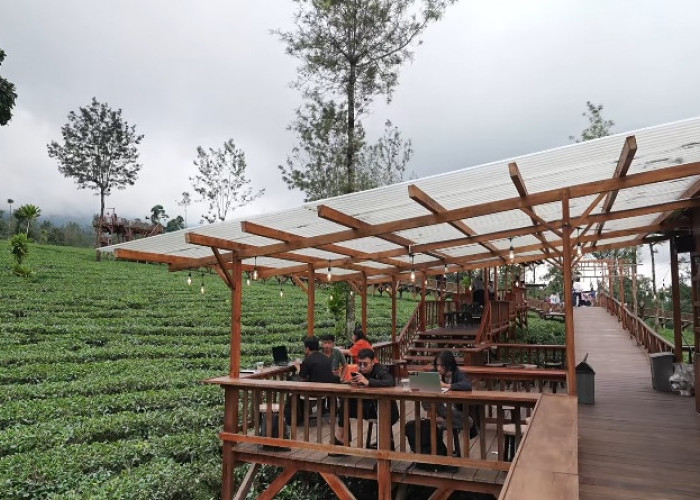 5 Rekreasi Kebun Teh Kekinian di Jawa Tengah Favorit Wisatawan Lokal