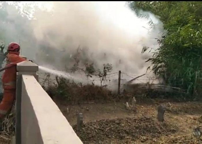 Tegal Mencekam, Empat Kebakaran Lahan Beruntun Mengamuk dalam Sehari