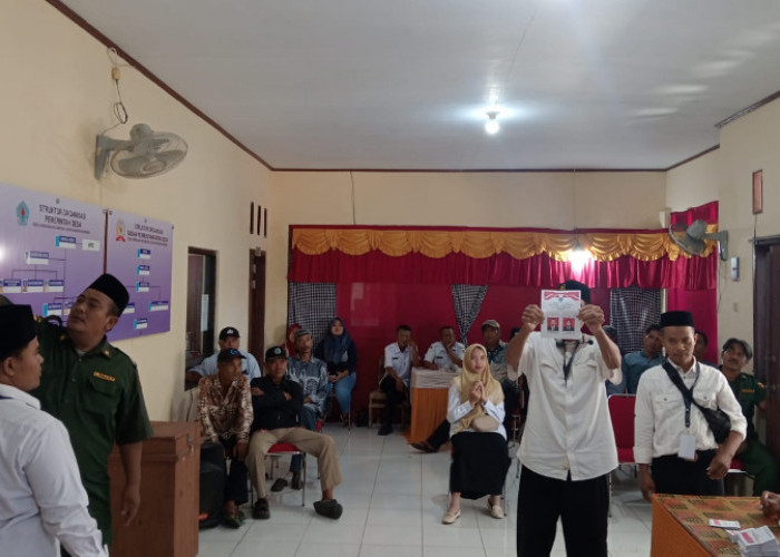 2 Desa di Brebes Gelar Pilkades PAW, Istri Mantan Kades Ikut Nyalon dan Terpilih