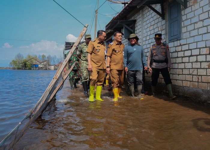 Tinjau Wilayah Terdampak Rob, Gubernur Jateng: Pemprov Siapkan Rp400 Juta untuk Rehabilitasi Tanggul di Pati
