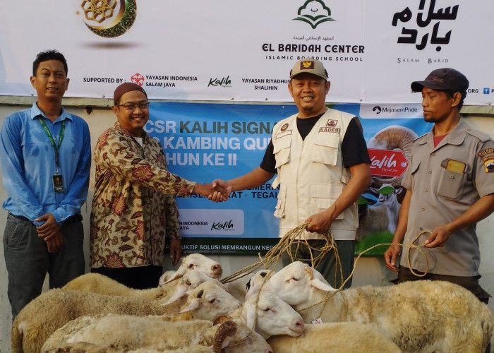 Iduladha, Cafe Kalih Signature Serahkan 10 Kambing untuk Kurban ke Pemdes Mejasem Barat Tegal