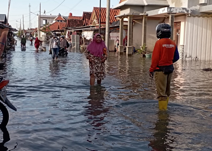 1000 KK di Brebes Terdampak Banjir Rob, 800 Hektare Tambak Terrendam 