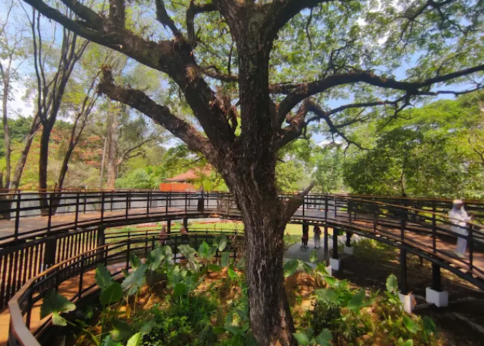 10 Wisata Keluarga Murah di Solo Raya, Seru dan Edukatif untuk Anak