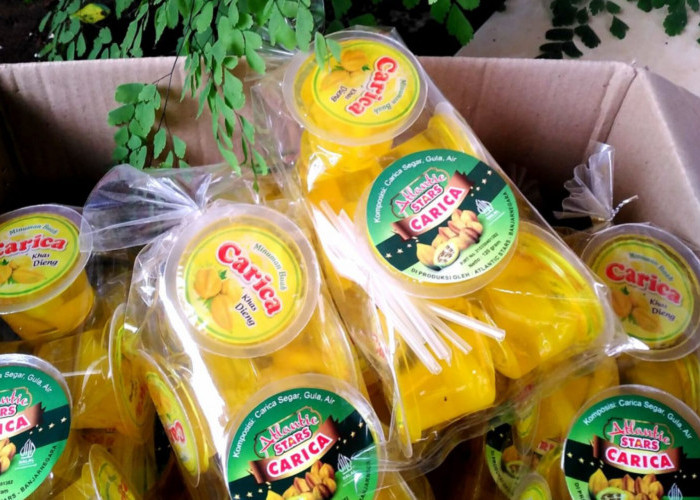 4 Oleh-Oleh Khas Banjarnegara yang Paling Laris di Toko, Rasanya Unik dan Tahan Lama!