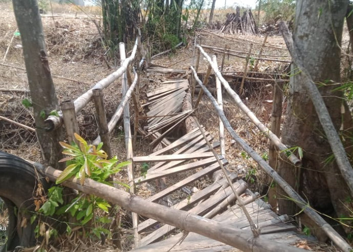 Jembatan di Desa Kabunan Kabupaten Tegal Ambruk, Fraksi PDI Perjuangan Janjikan Hal Ini  