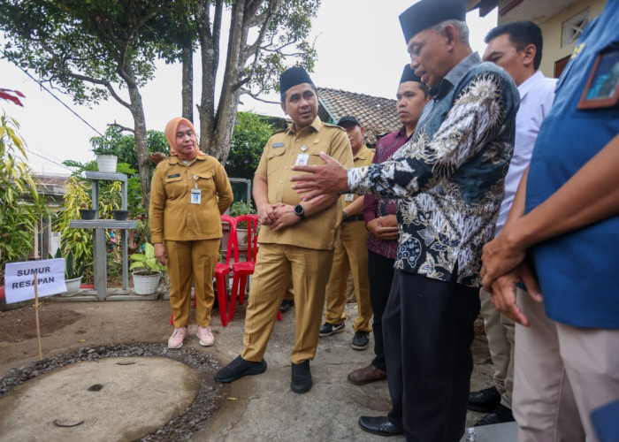 Wagub Jateng Taj Yasin Luncurkan Gerakan Sak Omah Sak Sumur Resapan
