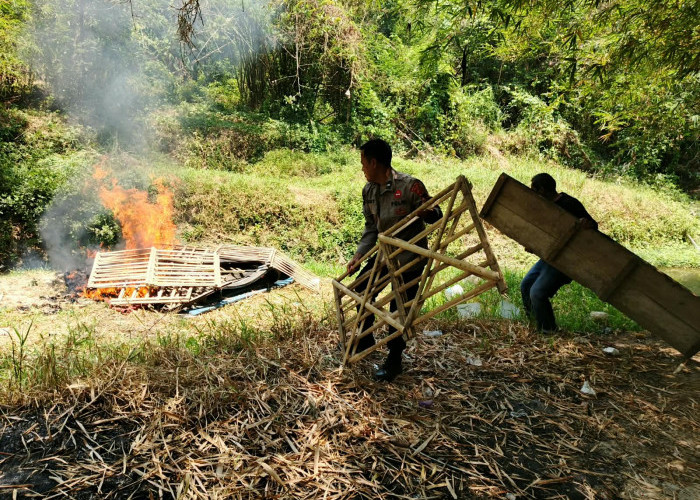 Diduga Jadi Arena Judi, Bekas Gelanggang Sabung Ayam di Tegal Dimusnahkan
