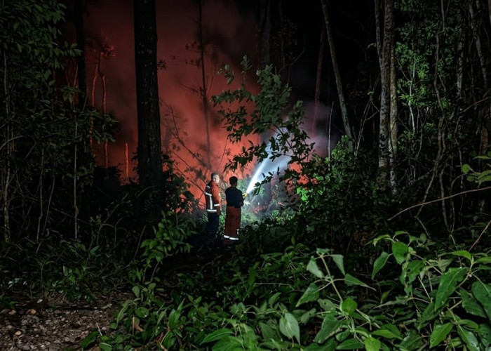 Empat Kebakaran Terjadi dalam Dua Hari di Kabupaten Tegal, Damkar Amankan Lokasi Dekat Permukiman