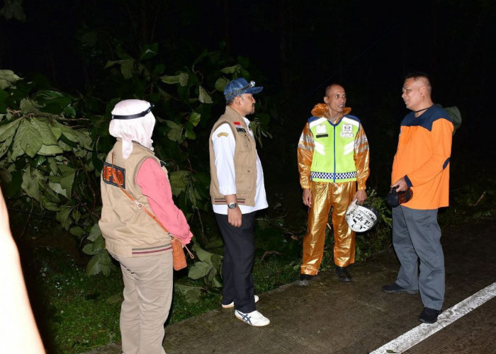 Sempat Macet Akibat Pohon Tumbang, Bupati Pastikan Jalan Bantarbolang–Pemalang Sudah Normal Kembali