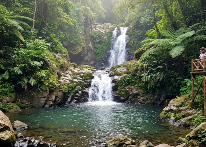 Daftar Curug Cantik di Pemalang, Pesona Air Terjun Hidden Gem Jawa Tengah